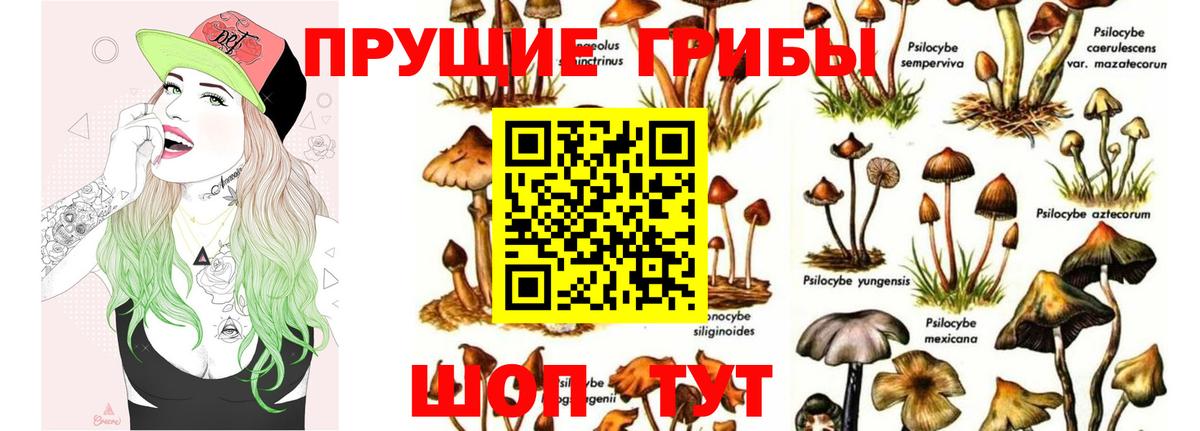 Ейск  Псилоцибиновые грибы Psilocybine cubensis  Вход с VPN  Галлюциногенные грибы ЛСД 