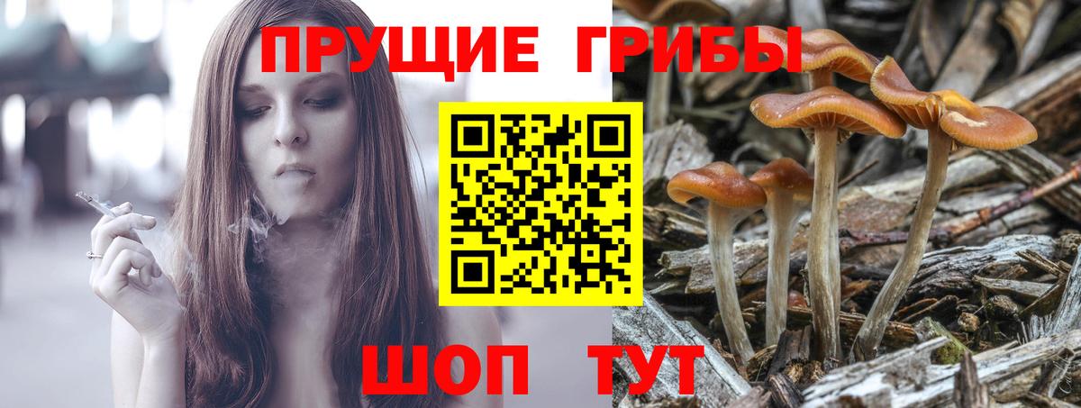Псилоцибиновые грибы мицелий Ейск