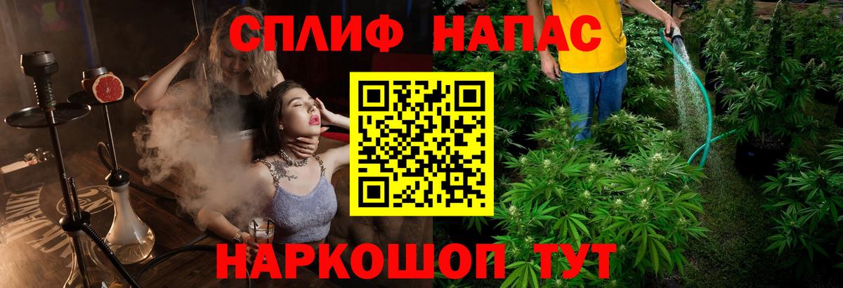 Бошки марихуана Bruce Banner  Вход с VPN  Каннабис планчик  Канабис ГИДРОПОН  Каннабис VHQ  Ейск 